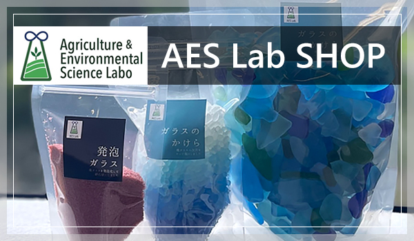 AES Lab shop